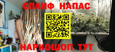гидра Шелехов