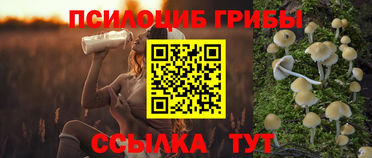 Большой Камень  Псилоцибиновые грибы мицелий  Вход с VPN 