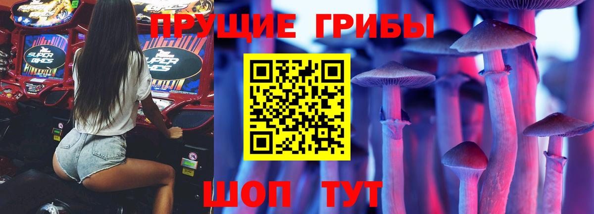 Галлюциногенные грибы GOLDEN TEACHER Большой Камень